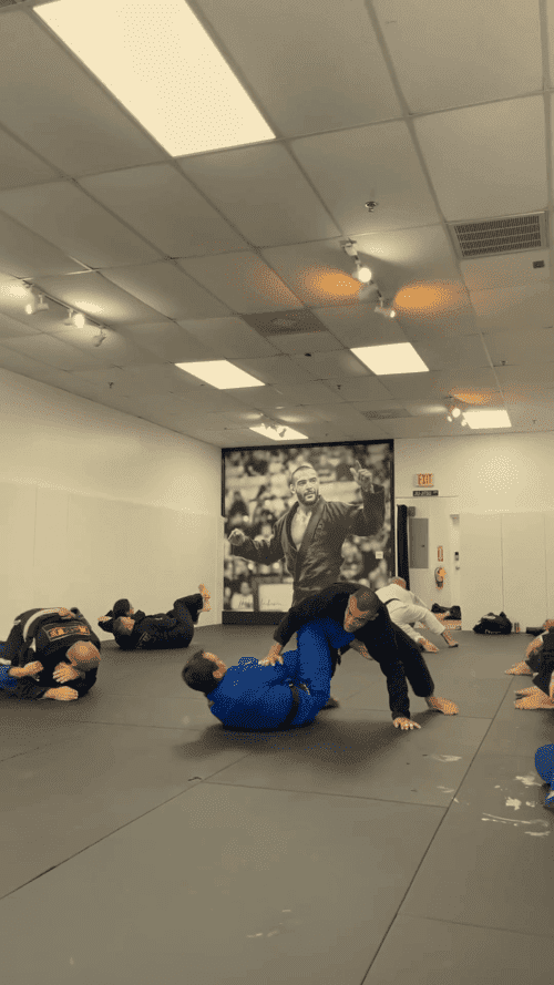 vlcsnap-2024-05-10-10h31m24s278